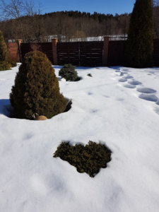 20180329_103657.jpg
