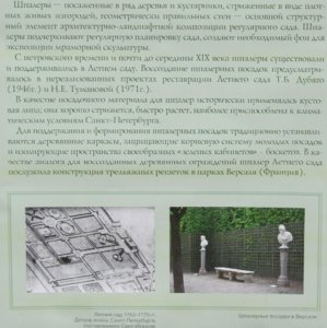 шпалеры.jpg
