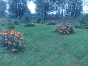 IMG_20160904_170612.jpg