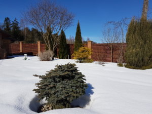 20180324_111921.jpg