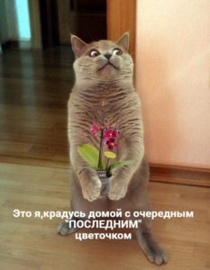 цв.jpg