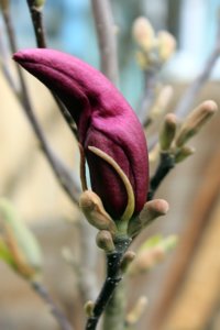 IMG_4493.JPG