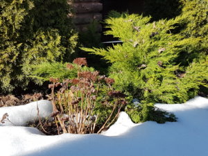 20180403_162448.jpg