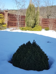 20180403_143147.jpg