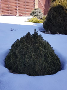 20180403_143211.jpg