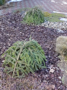 20180406_151338.jpg