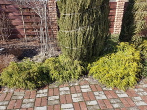 20180406_151500.jpg