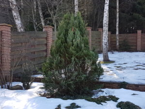 20180406_150405.jpg