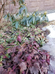 20180406_151127.jpg