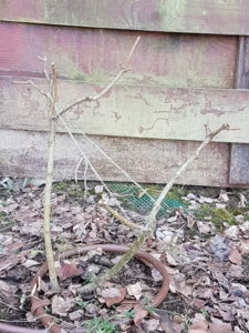 20180411_142557.jpg
