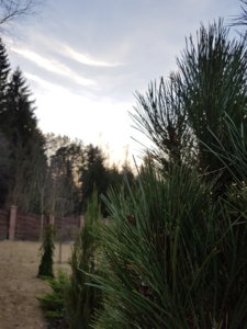 20180410_193724.jpg