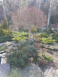 20180411_145550.jpg