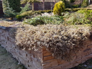 20180413_095505.jpg