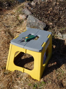DSCN5312.JPG