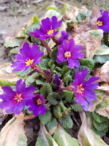 20180416_181311.jpg