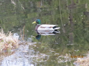 IMG_0391.JPG