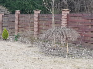 20180416_180613.jpg
