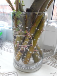 20180418_103828.jpg
