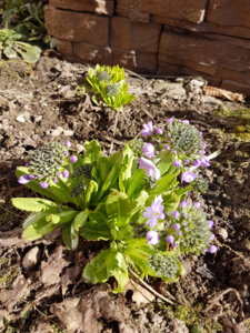 20180420_162153.jpg