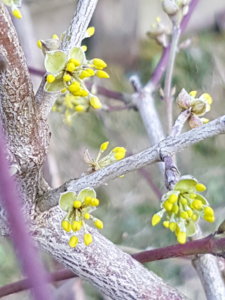 20180420_193533.jpg