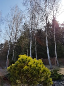 20180411_145805.jpg