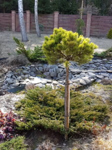 20180411_145705.jpg