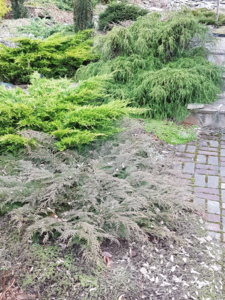 20180410_191138.jpg