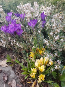 20180416_171636.jpg
