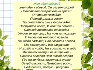 садовод.jpg