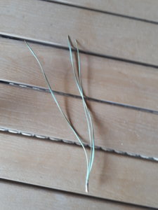 20180419_071119.jpg