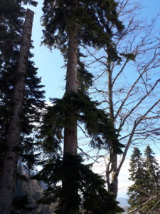 20180424_132103.jpg
