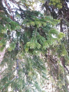 20180424_132034.jpg
