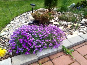 20180425_112134.jpg