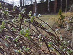 20180425_085247.jpg