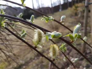 20180425_085353.jpg
