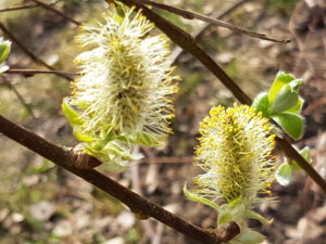 20180425_085420.jpg