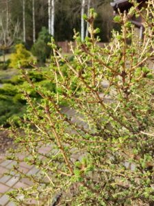 20180425_090759.jpg