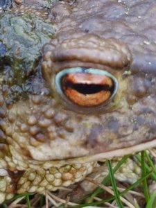 20180424_183424.jpg