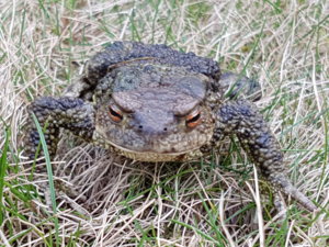 20180424_183437.jpg