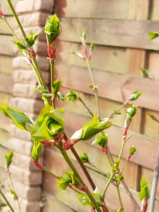 20180425_085134.jpg