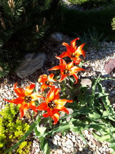 20180429_084649.jpg