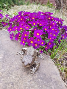 20180428_125733.jpg