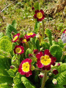 20180501_142420.jpg