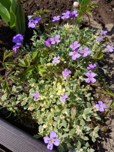 20180501_141357.jpg
