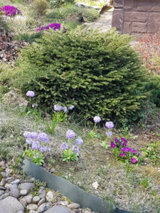 20180501_142028.jpg