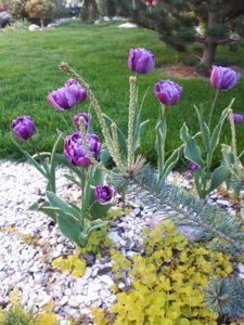 20180501_182232.jpg