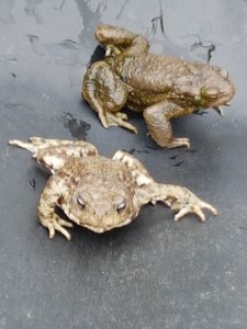20180428_125310.jpg