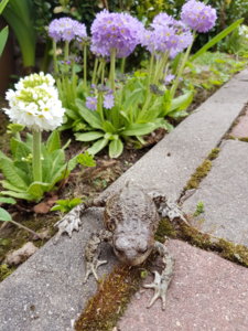 20180428_125543.jpg