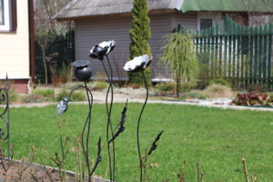IMG_4804.JPG