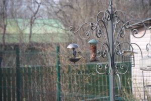 IMG_4720.JPG